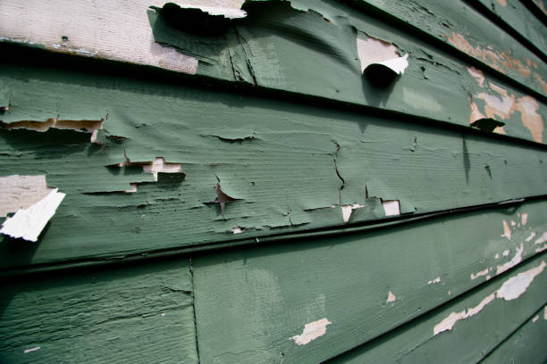 Storm Damage Siding Repair in Ucon, ID